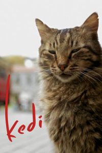 Kedi (2016)